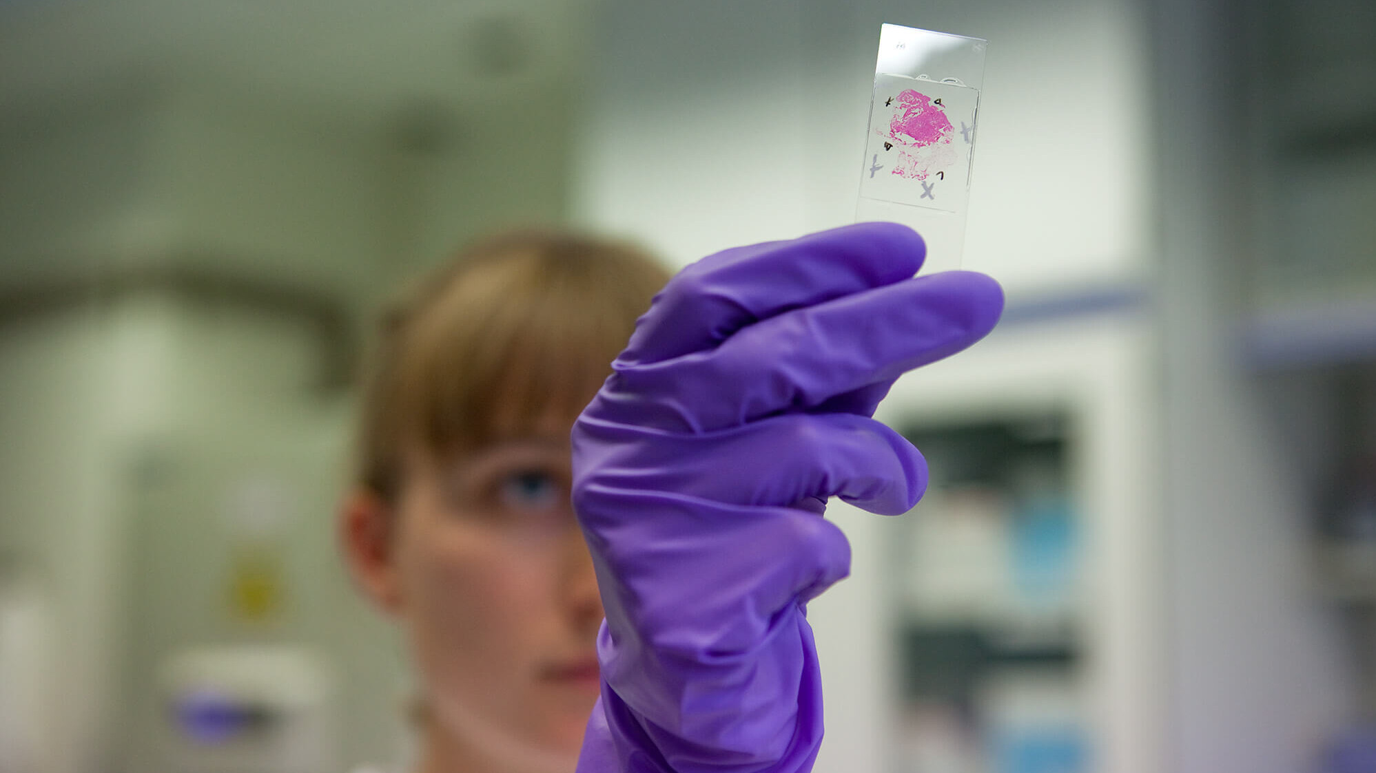 Beispiel aus der ISAS-Bildwelt: Eine Wissenschaftlerin bei der Arbeit im Labor