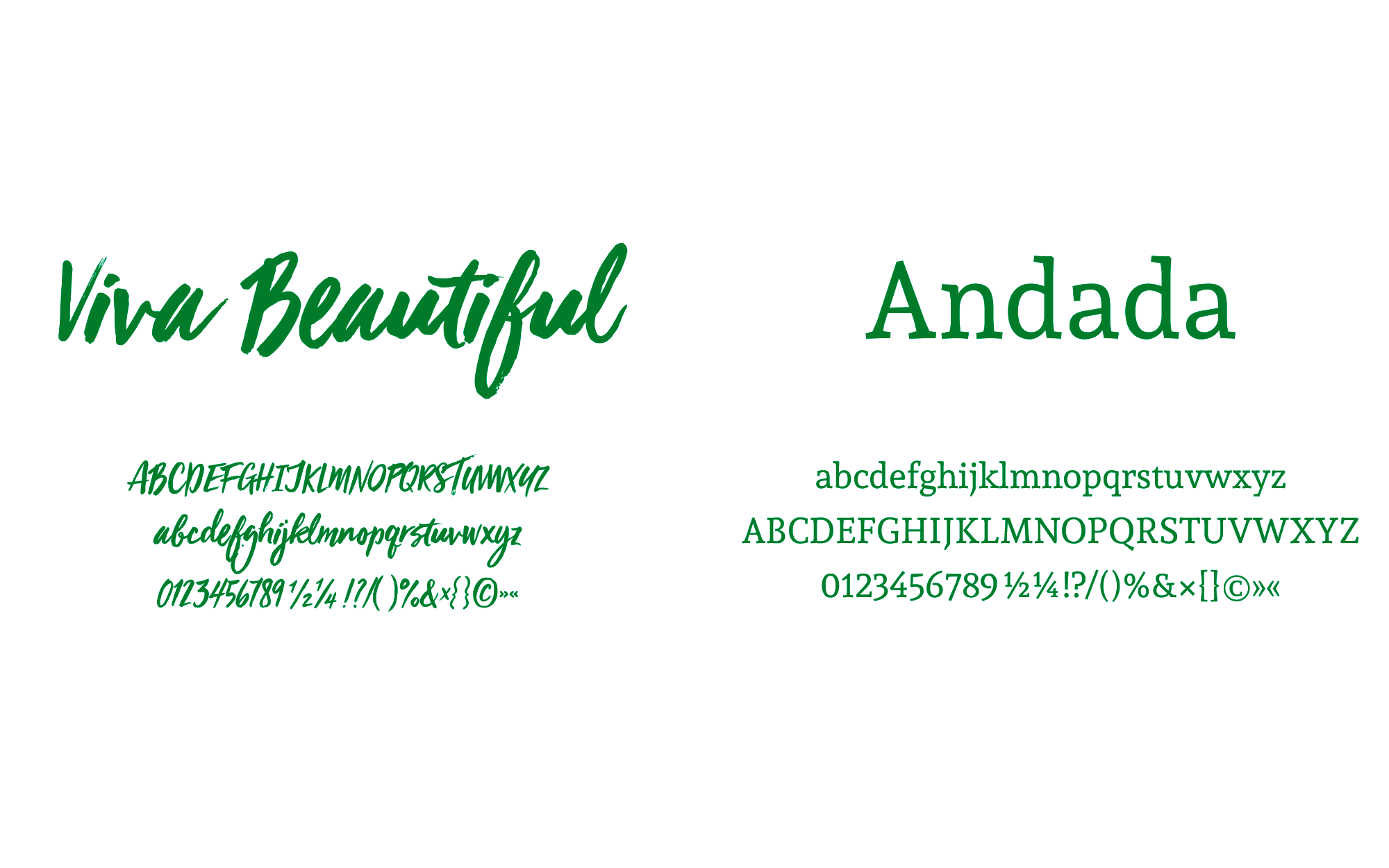 Gegenüberstellung der im Corporate Design verwendeten Schriftarten „Viva Beautiful“ und „Andada“